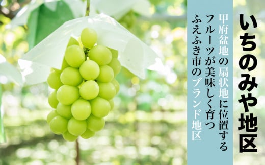 日本一のブドウの生産量を誇る笛吹市でも美味しいフルーツが育つことで有名な「いちのみや」地区のシャインマスカットをお届けします。
