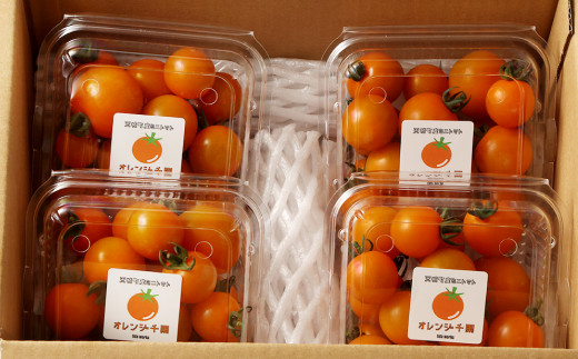 徳之島 天城町産 ミニトマト 1.6kg(200g×8パック) オレンジ千果