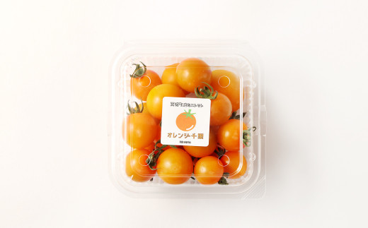 徳之島 天城町産 ミニトマト 1.6kg(200g×8パック) オレンジ千果