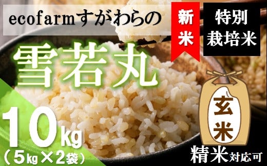 【令和6年産・玄米】ecofarmすがわらの特別栽培米雪若丸10kg 