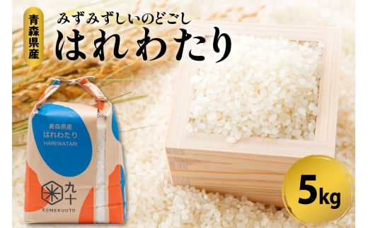 特a米 はれわたり 5キロ 令和6年産米 精米 特A 青森県産米 【五所川原市 白米お米晴れ渡り晴れわたりharewatari 5kg 】 1341795 - 青森県五所川原市