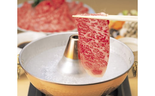 牛肉 飛騨牛 肩ロース肉 しゃぶしゃぶ用 500g 牛 肉 肩ロース ロース しゃぶしゃぶ 赤身 飛騨 F4N-0738 1174199 - 岐阜県中津川市