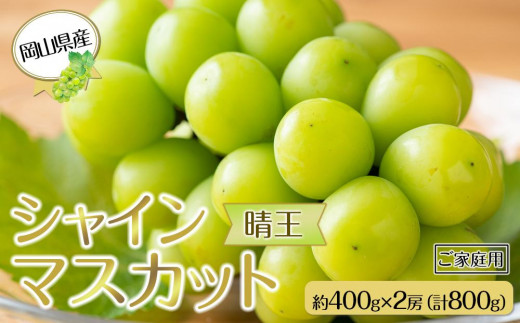 岡山県産 ぶどう 2024年 先行予約 ご家庭用 シャインマスカット 晴王 約400g×2房 計800g ブドウ フルーツ 果物