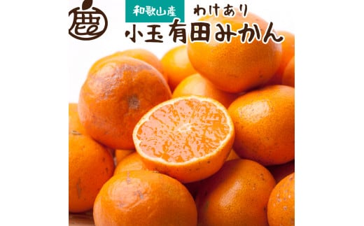 家庭用 小玉な有田みかん2.5kg+75g（傷み補償分）【わけあり・訳あり】【光センサー選果】※北海道・沖縄・離島への配送不可 / みかん 果物 フルーツ オレンジ ミカン 果実 【ikd153A】 1528601 - 和歌山県すさみ町