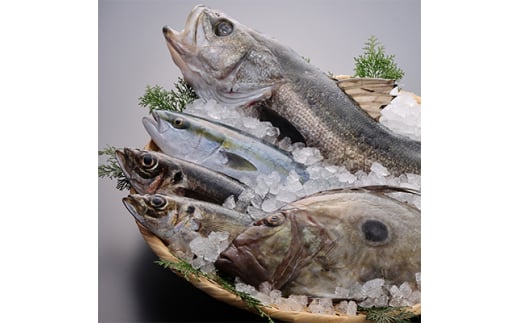 帆立貝柱生食用、女川産養殖銀鮭お刺身用と季節の地魚3種詰合せ