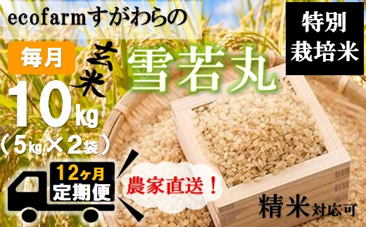 【定期便12回】ecofarmすがわらの特別栽培米雪若丸10kg×12回