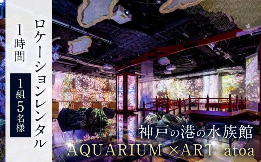 神戸の港の水族館　AQUARIUM ×ART atoa　ロケーションレンタル＜1時間＞1組5名様 1235920 - 兵庫県神戸市