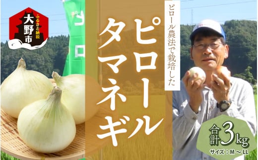 【先行予約】【令和6年産】【ピロールタマネギ】ピロール農法で栽培したタマネギ3kg