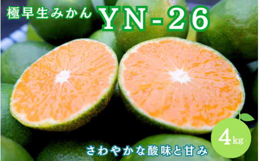 【先行予約】極早生みかん　YN-26　4kg（Sサイズ）【2024年9月より順次発送】  / みかん ミカン 蜜柑 和歌山 早生 YN-26 温州 田辺市 紀州 くだもの 柑橘 フルーツ  1390900 - 和歌山県田辺市