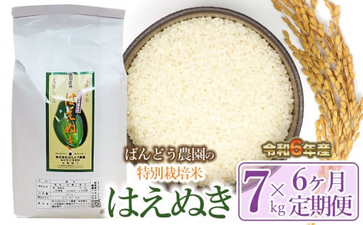 【令和6年産 先行予約】【定期便6ヶ月】ばんどう農園の特別栽培米 はえぬき7kg×6ヶ月　K-630