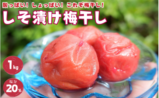 紀州南高梅 しそ漬け梅 1kg 塩分20％ 添加物不使用 / 梅 うめ ウメ  梅干し 梅干 しそ 紫蘇 シソ しそ漬け 紫蘇漬け 南高梅 紀州南高梅 和歌山県 田辺市  1390904 - 和歌山県田辺市