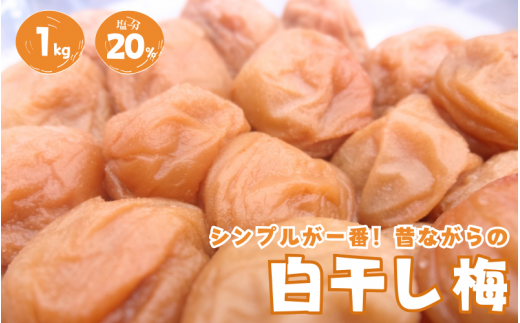 紀州南高梅 白干し南高梅干し 1kg 塩分20％ 添加物不使用 / 梅 うめ ウメ  梅干し 梅干 白干し 南高梅 紀州南高梅 和歌山県 田辺市  1390905 - 和歌山県田辺市