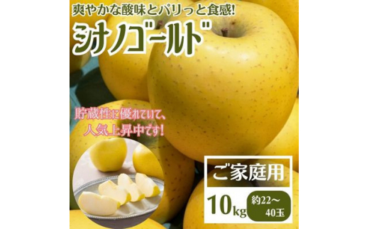 ＜先行受付＞りんご シナノゴールド 家庭用 10kg【1494508】