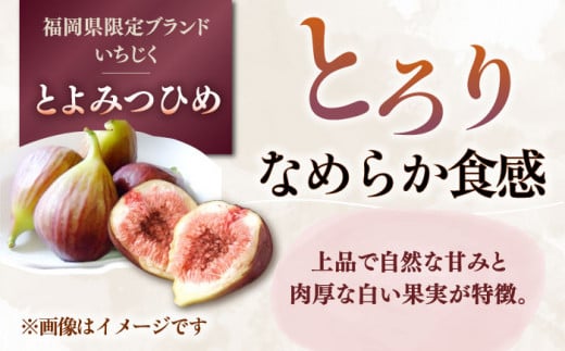 いちじく とよみつひめ 秀品 1.2kg イチジク 無花果 300g×4パック 