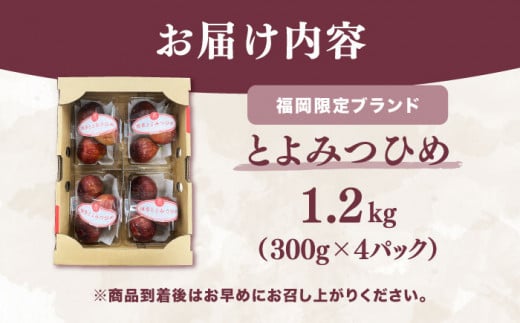 いちじく とよみつひめ 秀品 1.2kg イチジク 無花果 300g×4パック 