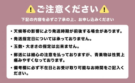 いちじく とよみつひめ 秀品 1.2kg イチジク 無花果 300g×4パック 