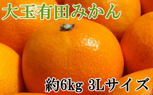 [秀品]和歌山有田みかん　6kg(3Lサイズ)※2024年11月中旬～1月中旬頃順次発送