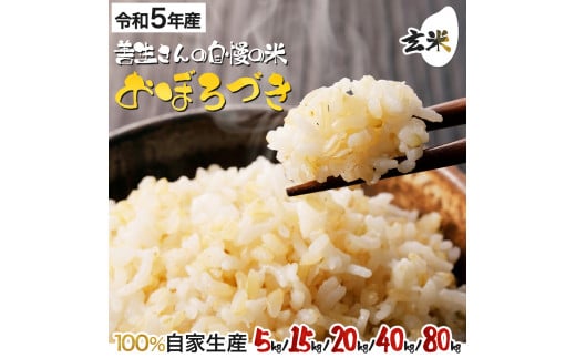 [量が選べる]『100%自家生産玄米』善生さんの自慢の米 玄米おぼろづき5〜80kg※一括発送