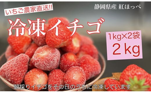 067-8　冷凍イチゴ丸ごと2キロ入り 1072803 - 静岡県牧之原市