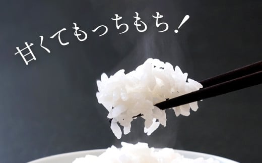 噛むほどに増す甘みと、お米の粒をしっかり感じるモチモチ感は、お米の代表格のコシヒカリの最大の特徴です。