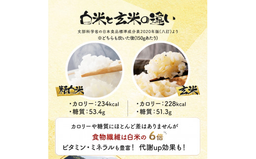 『100%自家生産玄米』善生さんの自慢の米 玄米おぼろづき１５kg※一括発送【06028】