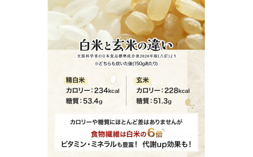 『100%自家生産玄米』善生さんの自慢の米 玄米ななつぼし２０kg※一括発送【06034】