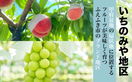 日本一の桃ブドウの生産量を誇る笛吹市でも美味しいフルーツが育つことで有名な「いちのみや」地区のフルーツをお届けします。