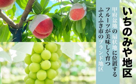 日本一の桃ブドウの生産量を誇る笛吹市でも美味しいフルーツが育つことで有名な「いちのみや」地区のフルーツをお届けします
