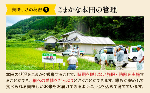 こまかな本田の管理　田んぼの状況をこまかく観察することで、時期を脱しない堆肥・防除を実施し、稲への愛情を注ぐことができます。