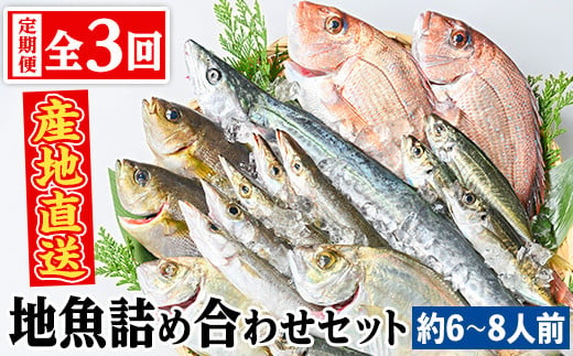 D09002 【3回定期便】魚屋さんの選んだ新鮮お魚詰め合わせ(約6～8人分) 【マルケイ水産】