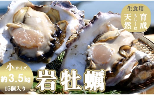 訳あり 岩がき 小サイズ 15個入 3.5kg前後 生食用 京都府 舞鶴産 牡蠣【～8月中頃まで】
