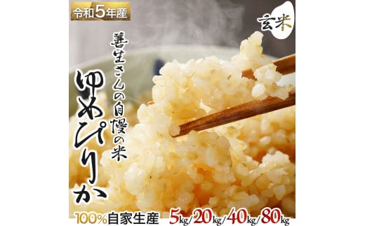 [量が選べる]『100%自家生産玄米』善生さんの自慢の米 玄米ゆめぴりか5~80kg※一括発送
