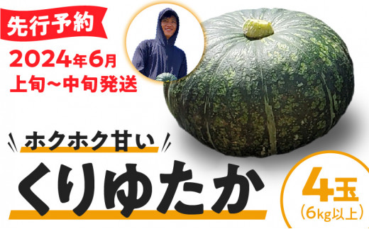 春かぼちゃ（くりゆたか）4玉（6kg以上）　C062-005 1333653 - 鹿児島県知名町