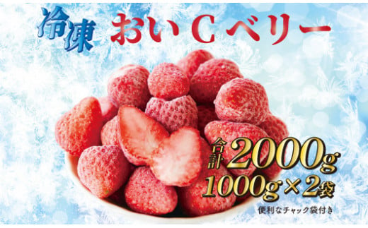 060-3 ビタミンC含有量No.1 完熟冷凍いちご（おいCベリー）２ｋｇ以上！ 733424 - 静岡県牧之原市