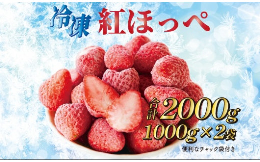 060-11　完熟冷凍いちご2kg以上！森木農園が育てる、濃く甘いちご『紅ほっぺ』 732791 - 静岡県牧之原市