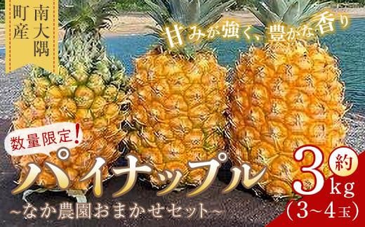 【先行予約】数量限定！　国産パイナップル　