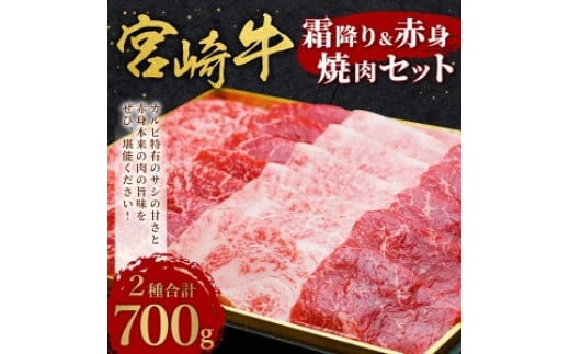 宮崎牛霜降り&赤身焼肉セット700g