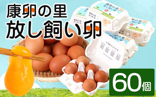 康卵の里「放し飼い卵」 卵60個 