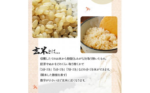 【定期便】『100%自家生産玄米』善生さんの自慢の米 玄米ゆめぴりか５kg　３か月　（全３回）【06014】