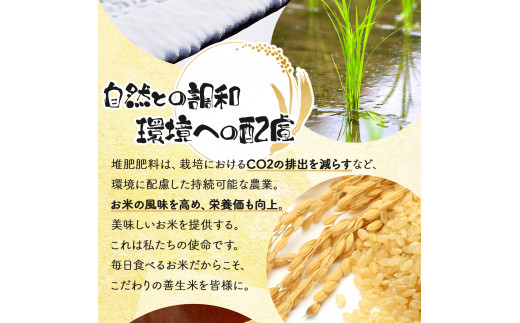 【定期便】『100%自家生産玄米』善生さんの自慢の米 玄米おぼろづき５kg　１２か月　（全１２回）【06012】