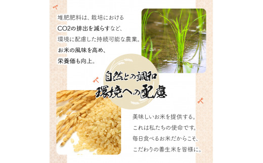 【定期便】『100%自家生産玄米』善生さんの自慢の米 玄米ゆめぴりか５kg　６か月　（全６回）【06016】