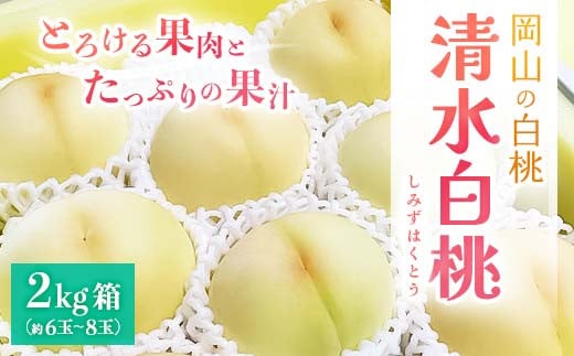 先行受付【2025年7月下旬より発送予定】とろける果肉と果汁たっぷりの岡山の白桃・清水白桃(2kg箱) TY0-0325 1312369 - 岡山県津山市