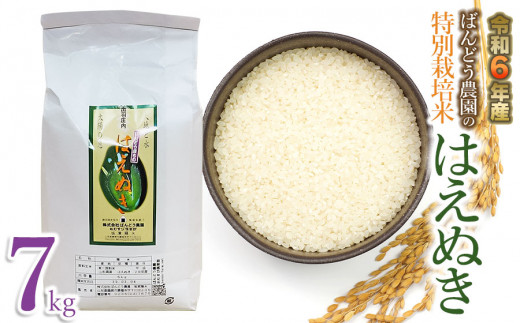 【令和6年産 先行予約】ばんどう農園の特別栽培米 はえぬき7kg　K-630