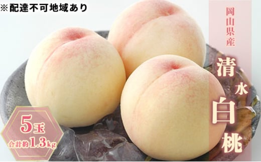 桃 2024年 先行予約 清水白桃 5玉 合計約1.3kg もも モモ 岡山県産 国産 フルーツ 果物 ギフト