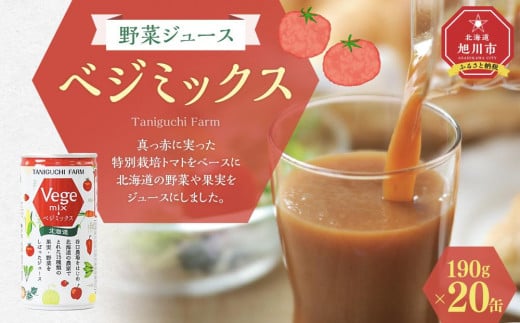 野菜ジュース ベジミックス190g×20缶_02080 1308020 - 北海道旭川市