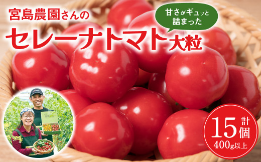 セレーナトマト 大粒 15個 400g以上 八代市産  宮島農園