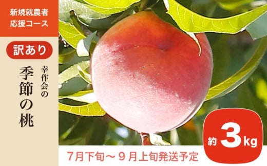 数ある桃の品種の中から旬の一番おいしい桃をお届けいたします。生産者から直送のため本当に美味しい桃をお楽しみ頂けます。