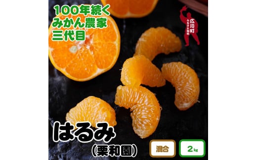 和歌山県広川町のふるさと納税 ■和歌山県 有田産 はるみ 約2kg (ご家庭用)　※2025年2月中旬頃～3月下旬頃に順次発送予定 ※着日指定不可【krw013-c-2】