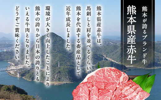 【3ヶ月定期便】熊本県産赤牛ハンバーグ 1.5kg（150g×10個）