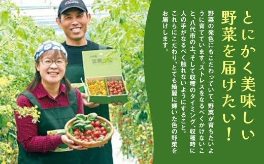 とにかく美味しい野菜を届けたい！